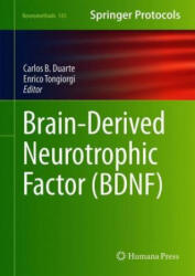 Brain-Derived Neurotrophic Factor (ISBN: 9781493989690)