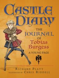 Castle Diary (ISBN: 9781406352641)