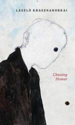 Chasing Homer (ISBN: 9780811240901)