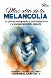 Mas alla de la melancolia (ISBN: 9781592116324)