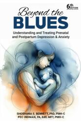 Beyond the Blues (ISBN: 9781592115280)