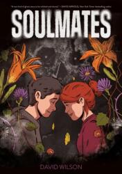 Soulmates (ISBN: 9781250896742)