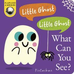Little Ghost! Little Ghost! What Can You See? (ISBN: 9781801048279)