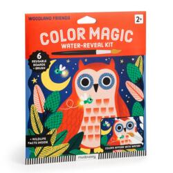 Woodland Friends Color Magic Water-Reveal Kit (ISBN: 9780735389656)