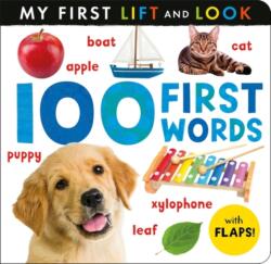100 First Words (ISBN: 9781801048910)