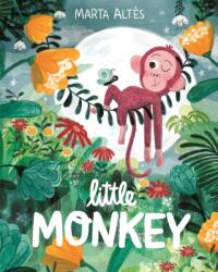 Little Monkey (ISBN: 9781035027293)