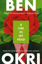 A Fire in My Head (ISBN: 9781035930968)