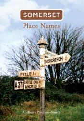 Somerset Place Names (ISBN: 9781848687820)