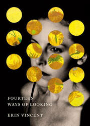 Fourteen Ways of Looking - VINCENT ERIN (2026)