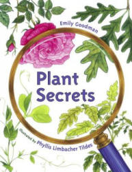 Plant Secrets - Phyllis Limbacher Tildes (ISBN: 9781580892056)