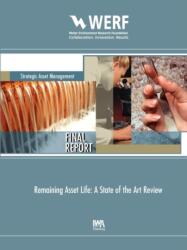 Remaining Asset Life (ISBN: 9781843393306)