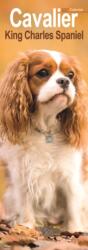 Cavalier King Charles Spaniel Slim (ISBN: 9781806482016)