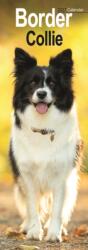 Border Collie Slim (ISBN: 9781806481989)