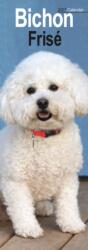 Bichon Frise Slim (ISBN: 9781806481972)