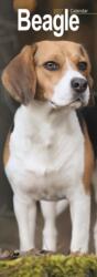 Beagle Slim (ISBN: 9781806481965)