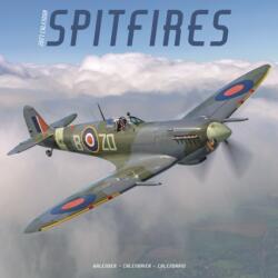 Spitfires W / AVONSI (ISBN: 9781806481880)
