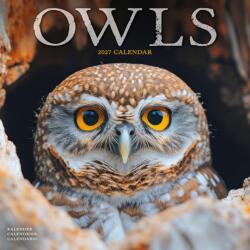 Owls W / AVONSI (ISBN: 9781806481422)