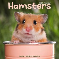 Hamsters (ISBN: 9781806481378)