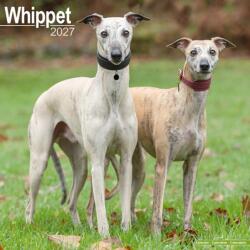Whippet Wall (ISBN: 9781806480975)