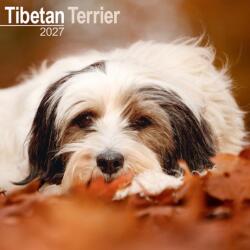 Tibetan Terrier (ISBN: 9781806480920)