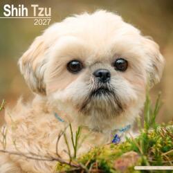 Shih Tzu Wall (ISBN: 9781806480890)