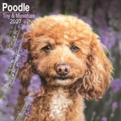 Poodle Toy Miniature (ISBN: 9781806480760)
