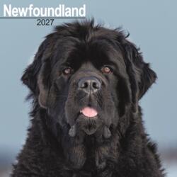 Newfoundland (ISBN: 9781806480678)