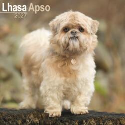 Lhasa Apso (ISBN: 9781806480630)