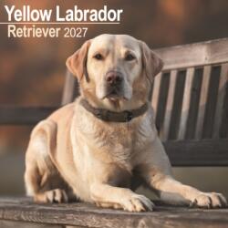 Labrador Retriever Yellow Wall (ISBN: 9781806480616)