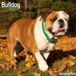 Bulldog (ISBN: 9781806480227)