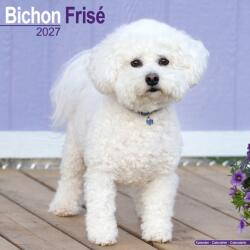Bichon Frise (ISBN: 9781806480142)