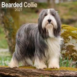 Bearded Collie (ISBN: 9781806480104)