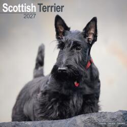 Scottish Terrier (ISBN: 9781806480852)