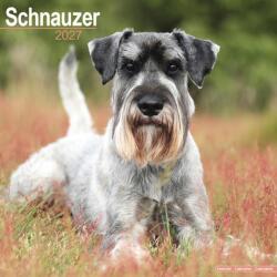 Schnauzers Wall (ISBN: 9781806480838)