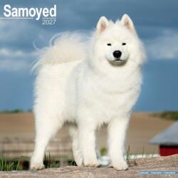 Samoyed (ISBN: 9781806480814)