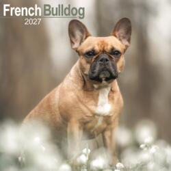 French Bulldog Wall /AVONSI (ISBN: 9781806480449)
