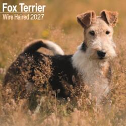 Fox Terrier Wirehaired W (ISBN: 9781806480432)