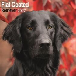 Flatcoated Retriever (ISBN: 9781806480418)