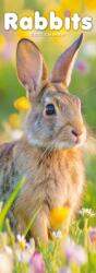 Rabbits Slim (ISBN: 9781806482313)