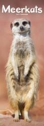 Meerkats Slim (ISBN: 9781806482290)
