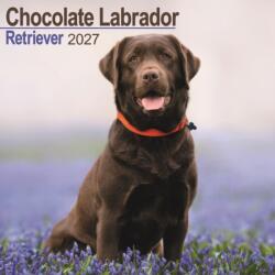 Labrador Retriever Chocolate Wall (ISBN: 9781806480586)
