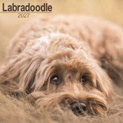 Labradoodle Wall (ISBN: 9781806480562)