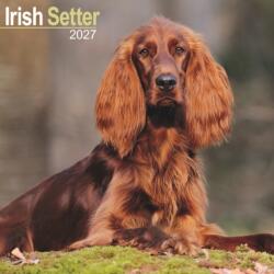 Irish Setter (ISBN: 9781806480524)