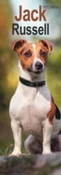 Jack Russell Slim (ISBN: 9781806482108)