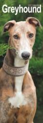 Greyhound Slim (ISBN: 9781806482092)