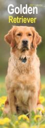 Golden Retriever Slim (ISBN: 9781806482085)