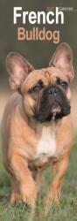 French Bulldog Slim (ISBN: 9781806482061)