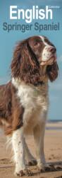 English Springer Spaniel Slim (ISBN: 9781806482054)