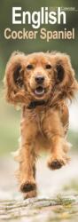 English Cocker Spaniel Slim (ISBN: 9781806482047)