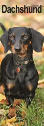 Dachshunds S / AVONSI (ISBN: 9781806482030)